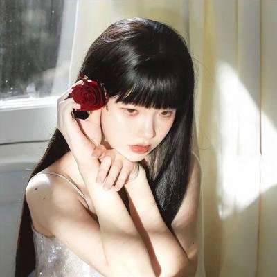 少数意见
