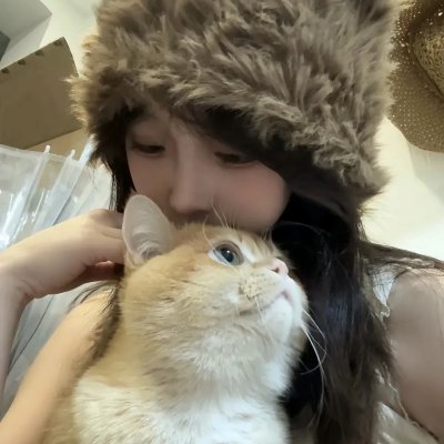 回路人生